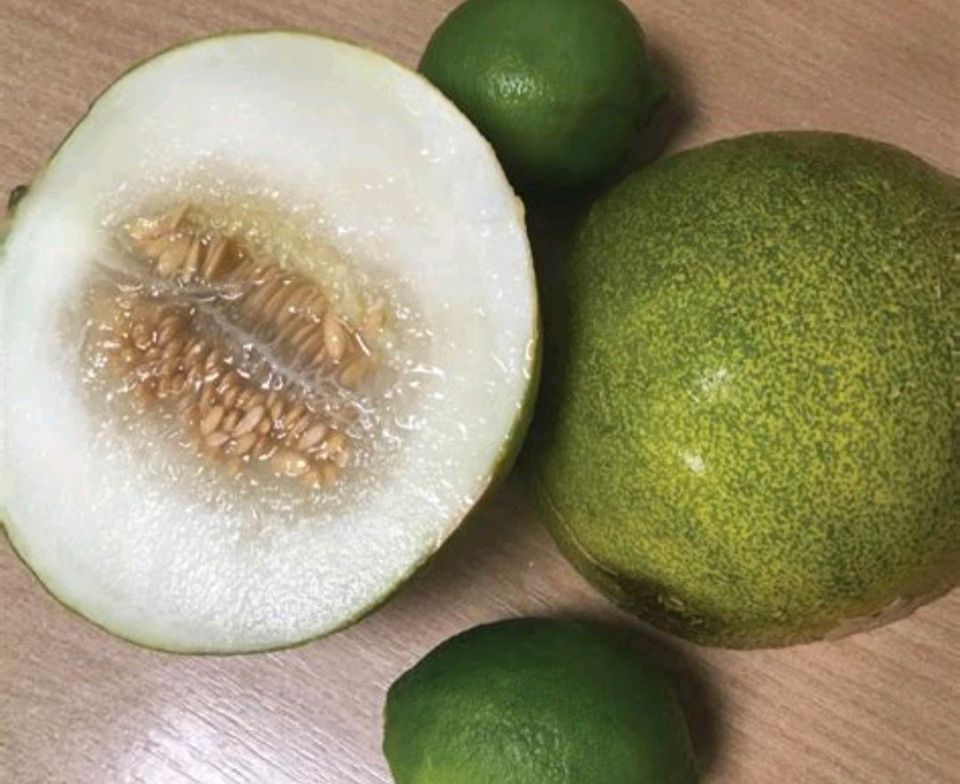 Limelon Melone Samen Saatgut in Unterwellenborn