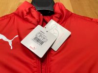 Puma Liga Casual Padded Jacke Große 128 (7-8J) Hessen - Kelsterbach Vorschau