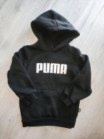 Puma Hoodie Pullover Kapuzenpulli Gr. 104 Nordrhein-Westfalen - Höxter Vorschau