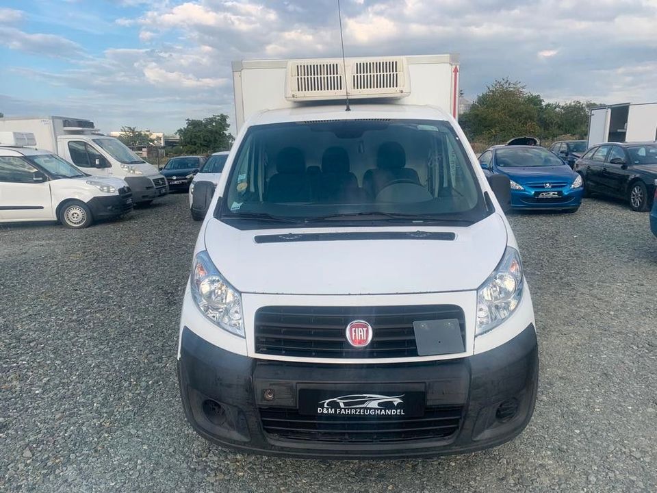 Fiat Scudo 2.0MultiJet 120 Kühlkoffer -29C in Ober-Mörlen