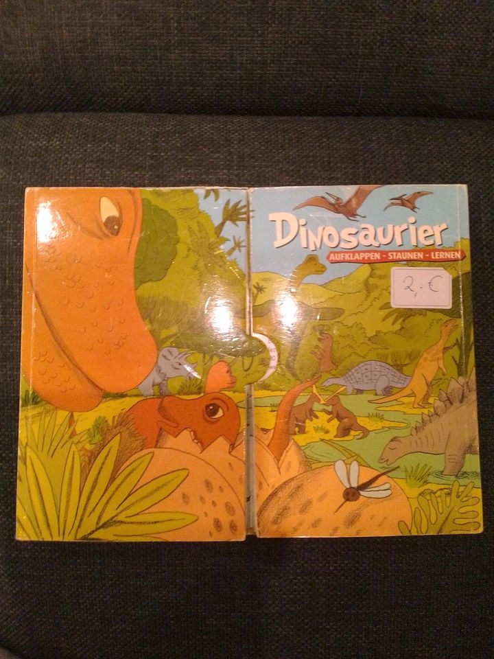 Buch: Dinosaurier - Aufklappen, Staunen u. Lernen. in Goch