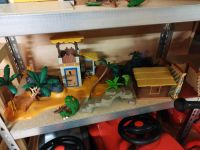 Playmobil  Sammlung Bayern - Neumarkt i.d.OPf. Vorschau