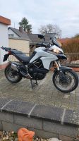 Ducati Multistrada 950*SERVICE KOMP. Neu* sehr guter Zustand Rheinland-Pfalz - Zweibrücken Vorschau