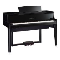 Yamaha N1X Neu Originalverpackt! Digitalpiano Hybridpiano E-Piano Hessen - Bad Homburg Vorschau