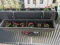 Blumenkasten aufhängung Balkon Hessen - Darmstadt Vorschau