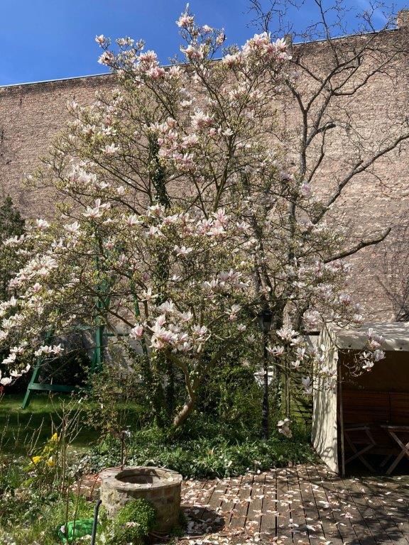 Grundstück mit Baureserve und denkmalgeschütztem Bauernhaus in Berlin