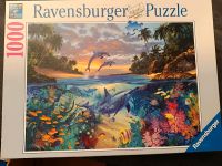 Ravensburger Puzzle 1000 Teile Korallenbucht Sachsen - Markersdorf bei Görlitz Vorschau