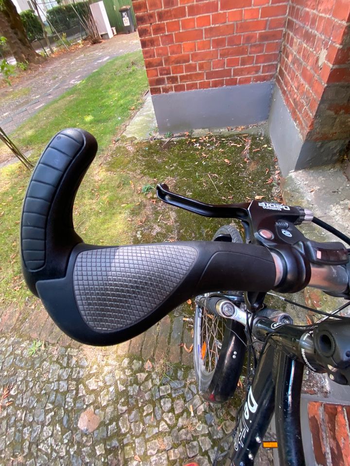 Riese und Müller Delite Fahrrad in Berlin