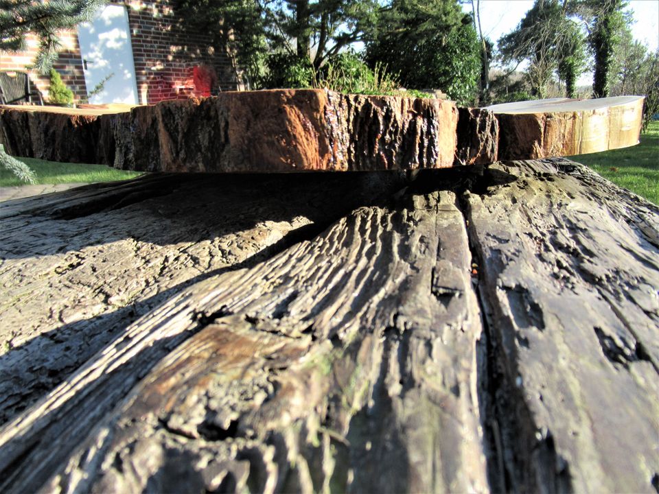 Holzschale Servierschale Obstschale Baumscheibe Dekoschale in Bassum