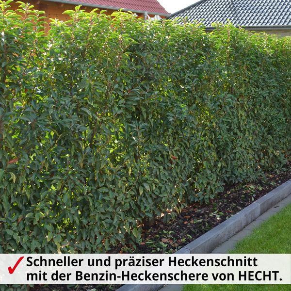 Benzin Heckenschere Motor Hecken Baum Ast Schere Garten Strauch Trimmer Säge 1PS in Greven