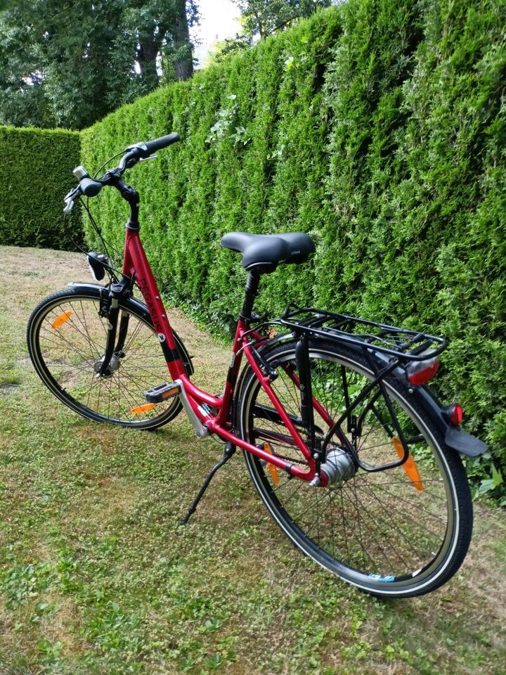 NEU PEGASUS Fahrrad Damenrad Cityrad in Lichtenau