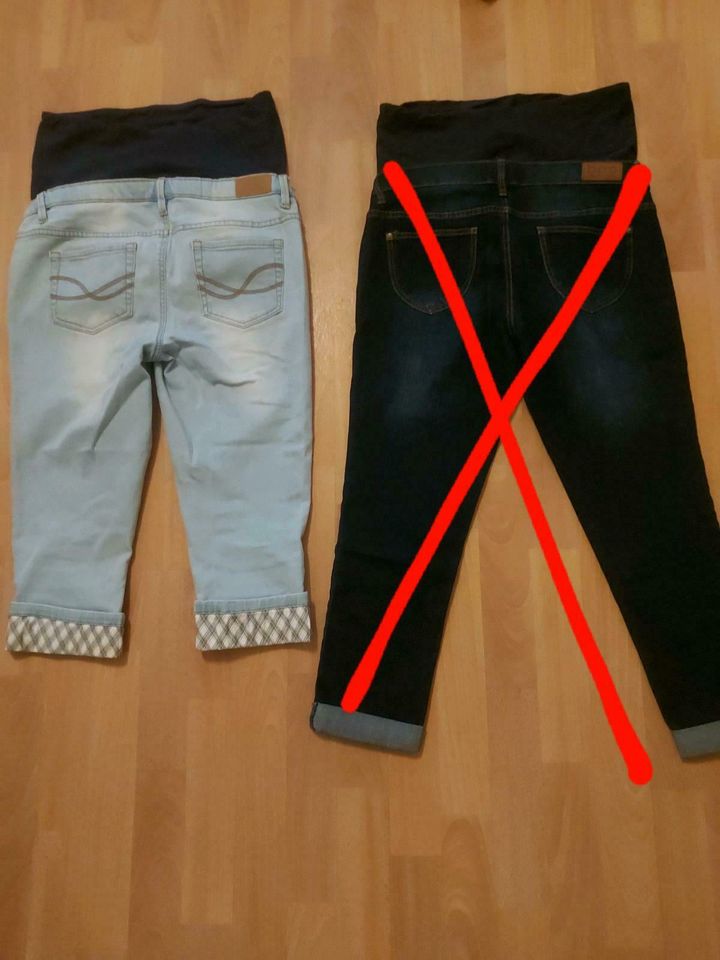 Umstandshosen/-jeans Gr. 36-40 in Bergen auf Rügen