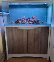 Aquarium Fluval Flex 123 liter in Weiß mit Schrank und LED Blumenthal - Lüssum-Bockhorn Vorschau