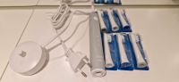 Oral-B elektrische Zahnbürste Berlin - Marzahn Vorschau