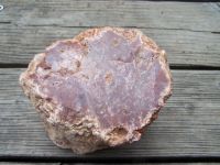 versteinertes Holz Wurzelholz Mineralien 301 Bayern - Wiggensbach Vorschau