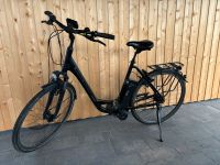 Raleigh Dover 8 LDT E Bike Niedersachsen - Ankum Vorschau