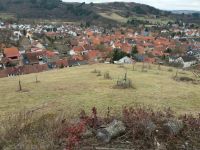 Biete Mäharbeiten, Mulcharbeiten, Hochgrasmähen, Heckenschnitt Rheinland-Pfalz - Niederkirchen Vorschau