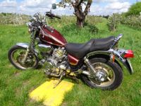 Yamaha XV Virago 1100 Limited Gold Edition Baden-Württemberg - Oftersheim Vorschau