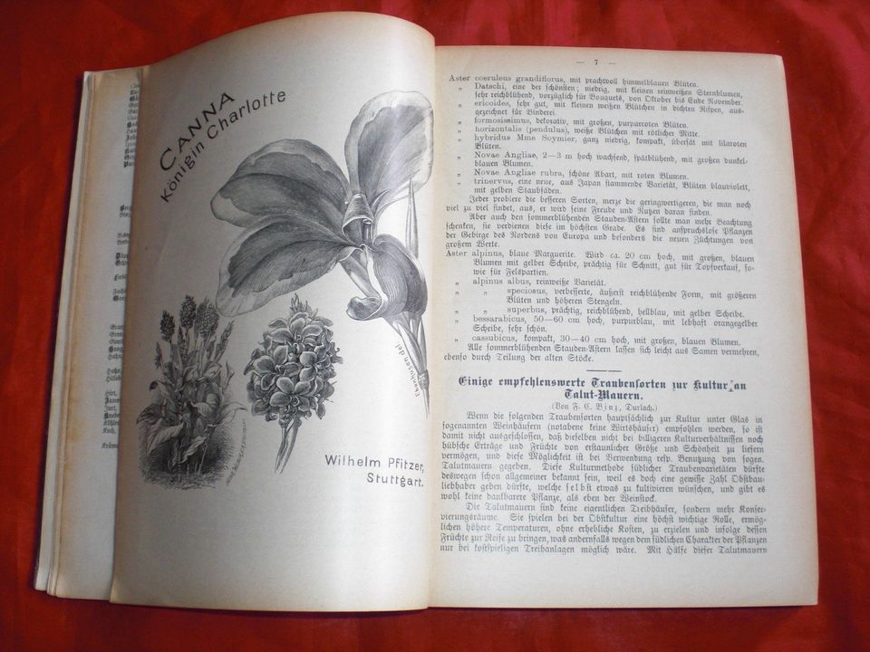 Der Schweizerische Gartenbau (Botanik, Pflanzen, Garten) 1894 in Schortens