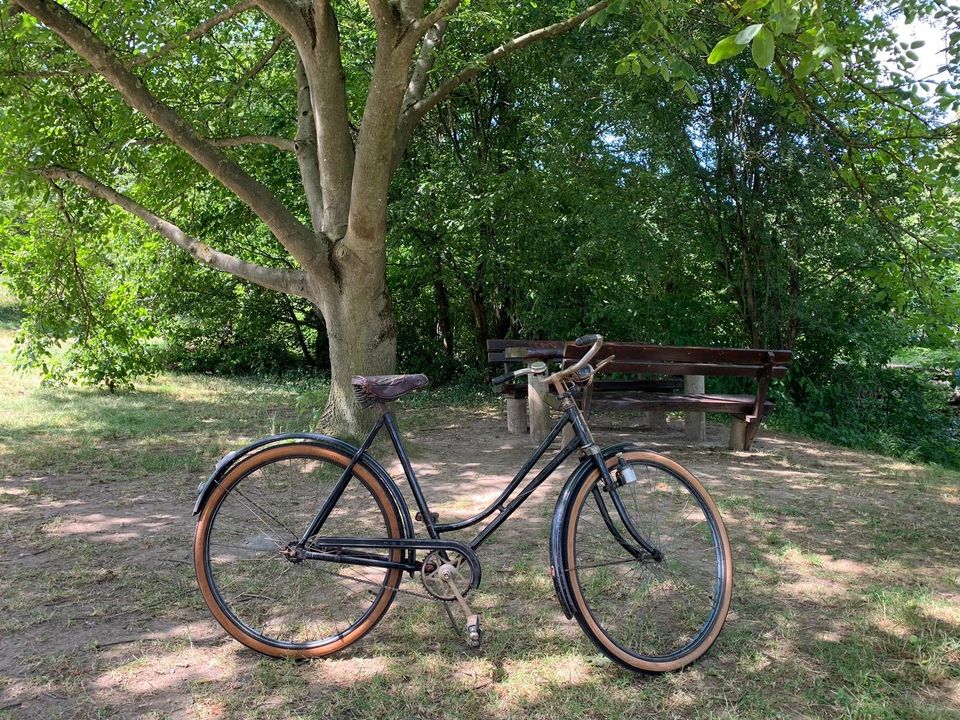 NSU Fahrrad Sammlerstück in Gundelsheim