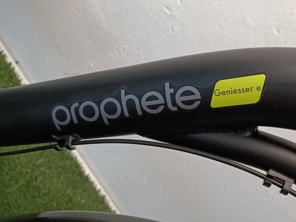 Prophete Geniesser City - E-Bike Elektrofahrrad Sonderposten in Varel