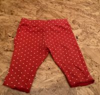 Leggings 80 Dresden - Langebrueck Vorschau