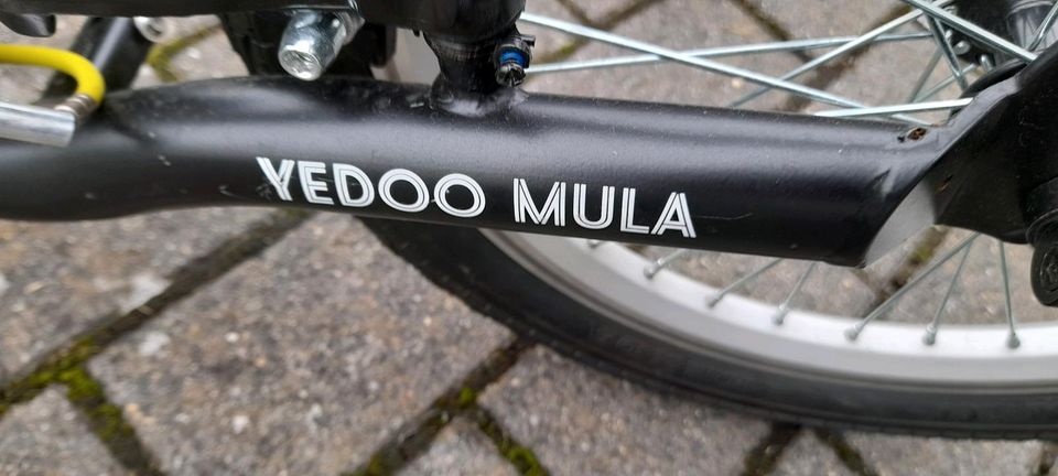 Yedoo Mula Trettroller Erwachsene Luftreifen Scooter in Drolshagen