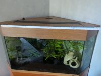 Aquarium 200 Liter juwel Sachsen-Anhalt - Magdeburg Vorschau