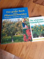 Gartenbücher zvk Schleswig-Holstein - Oldenburg in Holstein Vorschau