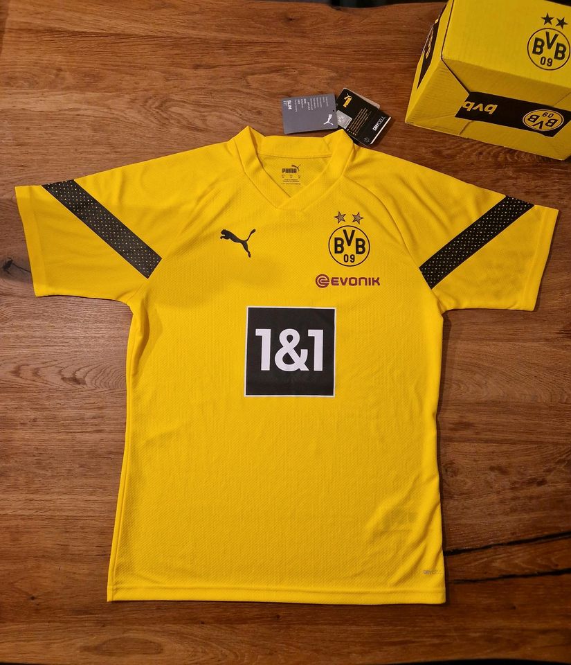 PUMA Trainingsshirt Borussia Dortmund Fußball 2022/23 *NEU* in Sundern (Sauerland)