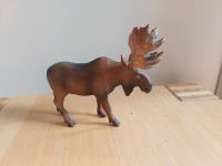 Schleich Elch Baden-Württemberg - Karlsruhe Vorschau