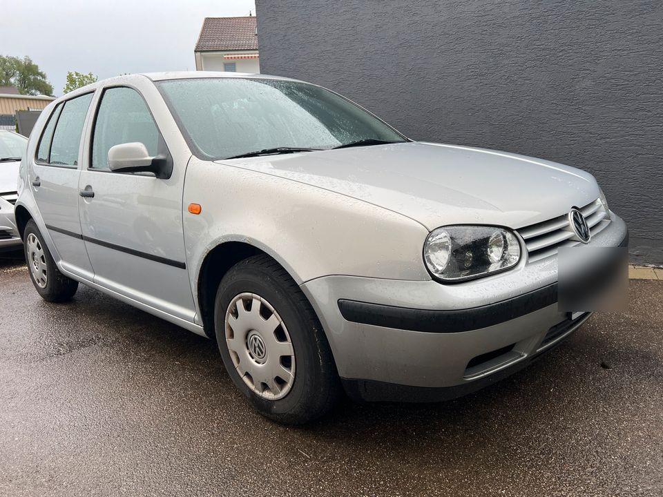 Golf 4 1.6 in Bellenberg