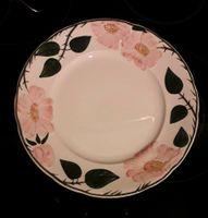 Villeroy und Boch, Teller, wild Rose Nordrhein-Westfalen - Gütersloh Vorschau