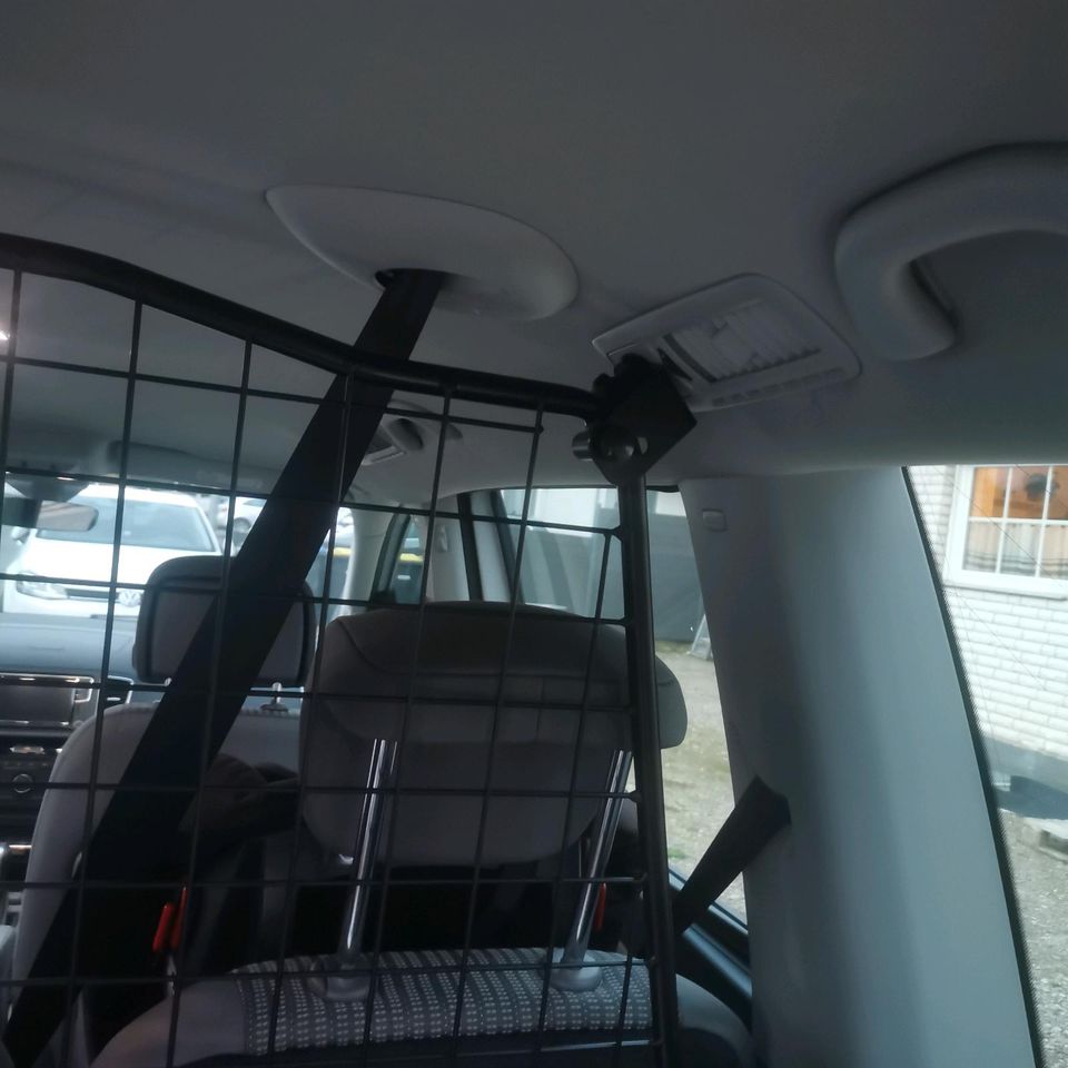 Hundegitter Seat Alhambra in Barntrup