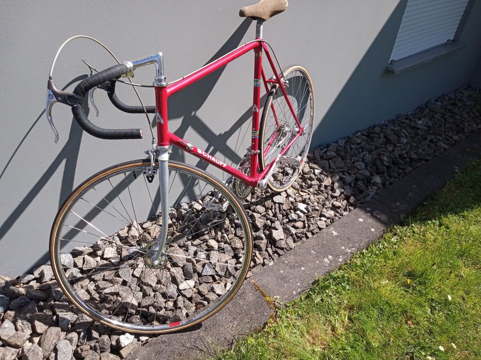 Vintage Rennrad Velo Schauff Sondermodell Rudi Altig in Rottweil