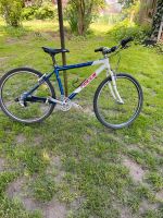 Focus Mountainbike 26 Zoll Niedersachsen - Oldendorf (Landkreis Stade) Vorschau