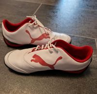 Puma Rot/Weiss Gr 38 *Selten* Essen - Essen-Ruhrhalbinsel Vorschau