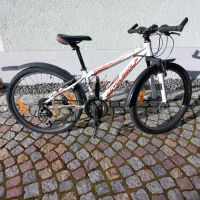 24 Zoll Mountainbike/Fahrrad/ Bayern - Kipfenberg Vorschau