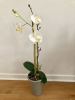 ⭐️Orchidee Kunstblume im Topf Zimmerpflanze Stoff top Zustand Hessen - Bad Nauheim Vorschau
