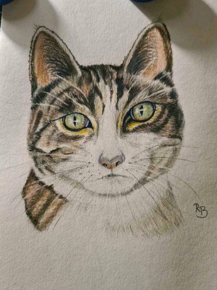 Geschenk Hund, Katze, Maus - liebevoll handgemalt Auftragsmalerei in Westerheim