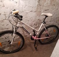 Fahrrad Mountainbike Tretwerk EVO. 26 Zoll Leipzig - Gohlis-Nord Vorschau