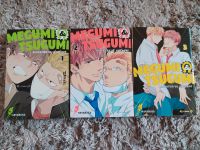 Megumi & Tsugumi  1-3 Manga Boyslove Brandenburg - Calau Vorschau