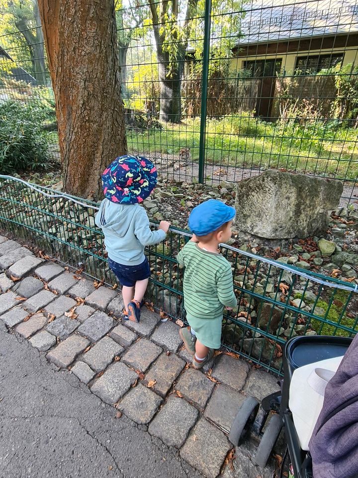 Tagesmutti hat Betreuungsplätze ab 1.6, 1.7 und 1.8 in Dresden