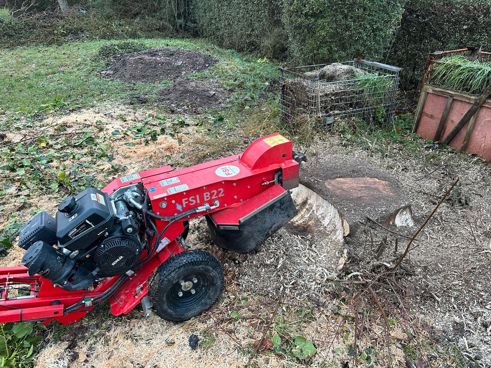 Baumstumpf entfernen Wurzel fräsen Stubben fräsen in Wettin-Löbejün