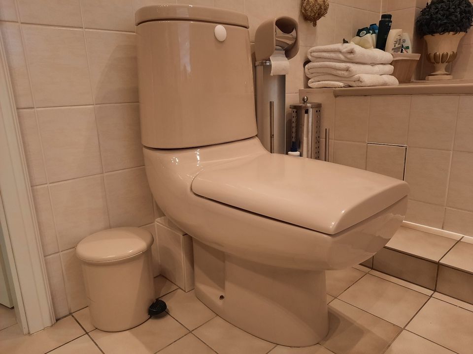 Retro Waschbecken/Toilette mit Spülkasten-Keramik-V&B in Hamburg