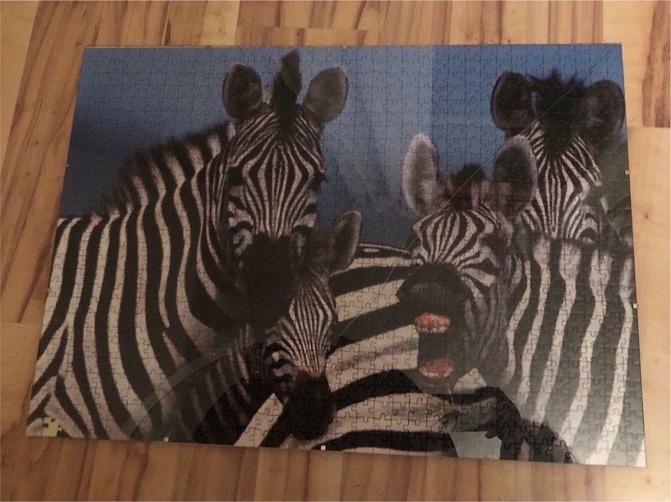 Ravensburger Puzzle Zebra 1000 Teile in Norderstedt