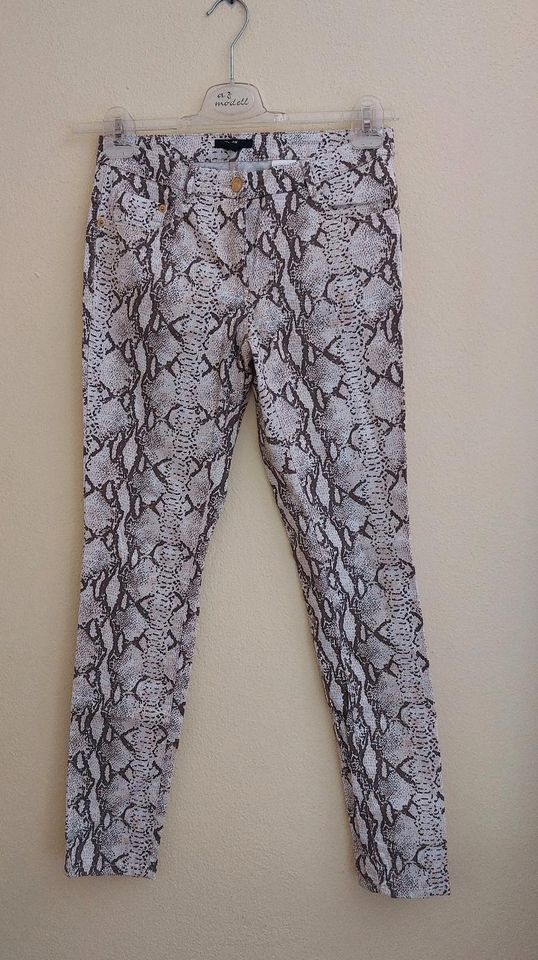 Stretch Hose, Skinny, Gr. 36/38, Snakeprint in Mehring