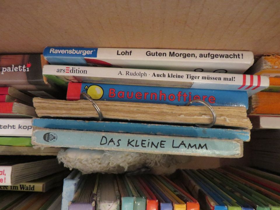 diverse Kinderbücher (ca.150 Stück, bunt gemischt) - auch einzeln in Neubrandenburg