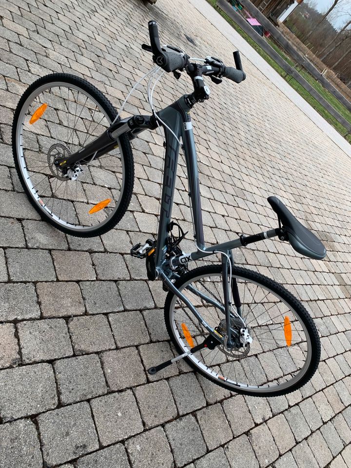 Felt QX Superlite SL Citybike Damenrad SM in Weyarn