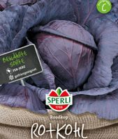 20 Samen Rotkohl Cabeza Negra 2 (Schwarzkopf/Roodkop) von Sperli Niedersachsen - Bomlitz Vorschau